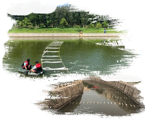 生物膜技術(shù)