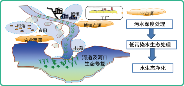 人工濕地，人工濕地建設(shè)
