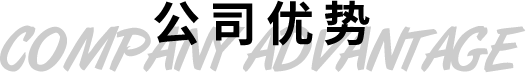 公司優(yōu)勢
