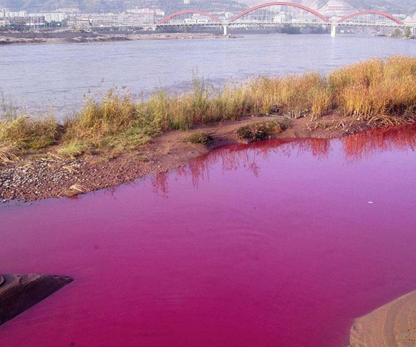 全國人大常委會專題調(diào)研水污染防治法實(shí)施情況并提出5項(xiàng)建議