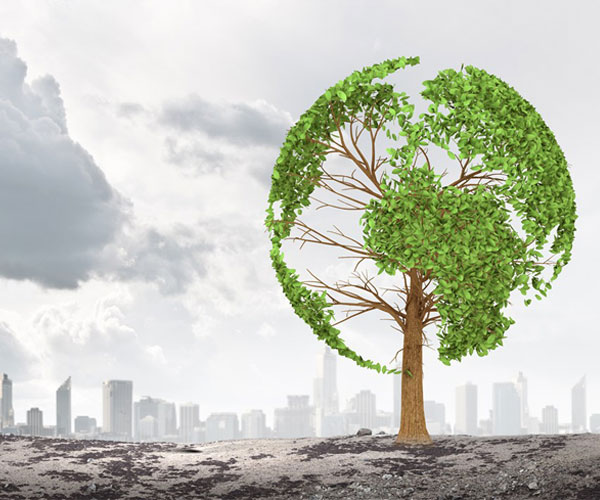 中國生態(tài)保護存在多頭管理，吁建統(tǒng)一生態(tài)保護監(jiān)管機構(gòu)