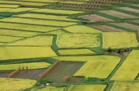 華清環(huán)境：如何治理農田土壤中重金屬污染？