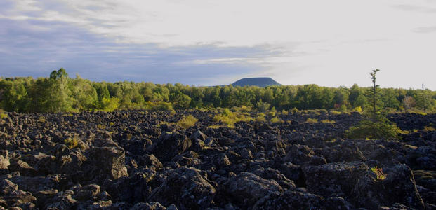 土壤微生物修復(fù)技術(shù)有哪些？_華清環(huán)境土壤污染