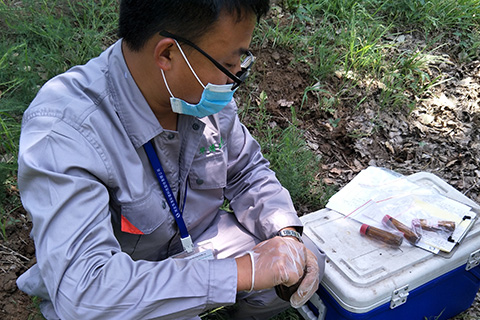 冬季土壤修復(fù)技術(shù)有哪些？