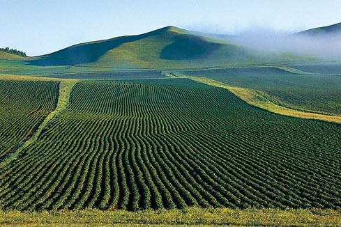 研讀土壤修復(fù)行業(yè)發(fā)展報(bào)告（咨詢篇）、（工程篇）