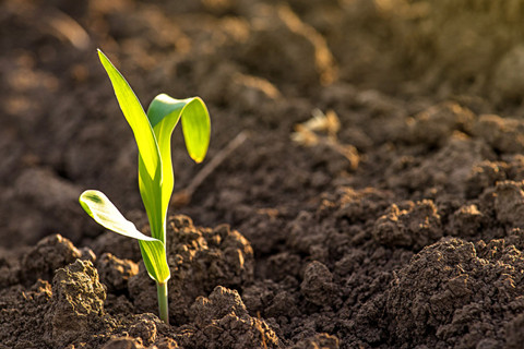 土壤監(jiān)測(cè)中主要出現(xiàn)的問題