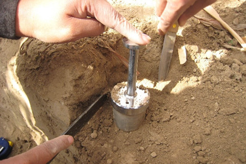 土壤調(diào)查的內(nèi)容有哪些？