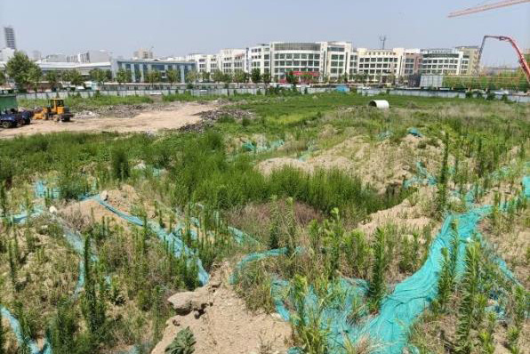 土壤調(diào)查 土壤調(diào)查