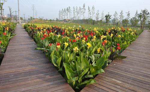 人工濕地污水處理技術(shù) 人工濕地污水處理技術(shù)