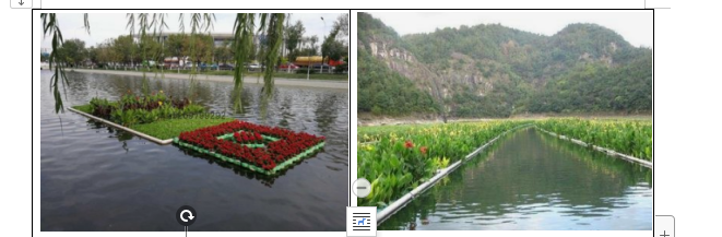 農(nóng)村生活污水治理——人工濕地 農(nóng)村生活污水治理——人工濕地