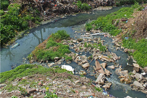 河北華清 河北華清