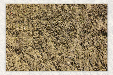 <a href=http://m.zjkjcn.com/turangjiance.html>土壤檢測</a> 土壤檢測