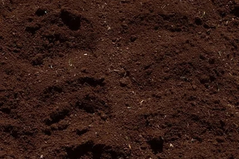 <a href=http://m.zjkjcn.com/turangjiance.html>土壤檢測</a> 土壤檢測