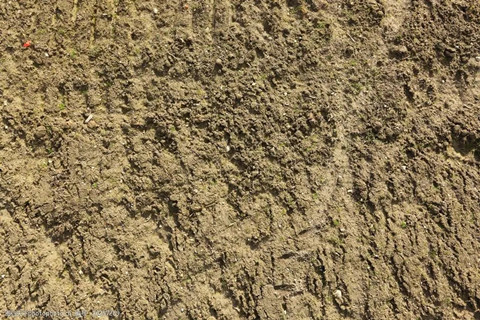 <a href=http://m.zjkjcn.com/turangjiance.html>土壤檢測(cè)</a> 土壤檢測(cè)