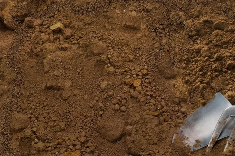 <a href=http://m.zjkjcn.com/turangjiance.html>土壤檢測</a> 土壤檢測